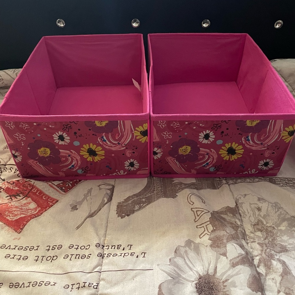 Disney Pink Storage Bins